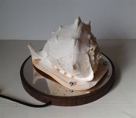 CONCHIGLIA MONTATA A LUME SU BASE IN LEGNO E ACCIAIO - DIAMETRO CM.35 H.CM.25