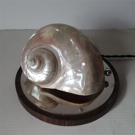CONCHIGLIA MONTATA A LUME SU BASE IN LEGNO E ACCIAIO - DIAMETRO CM.22 H.CM.11