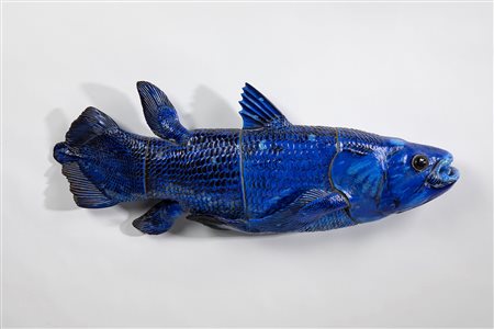 Blue Fish