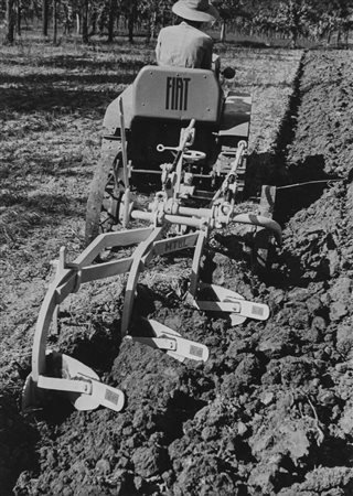 Riccardo Moncalvo (1915-2008)  - Il lavoro nei campi, Langhe, 1940