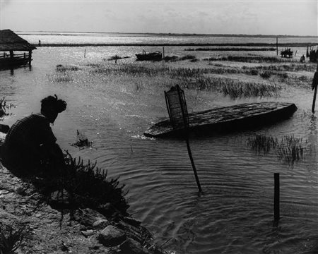 Pietro Donzelli (1915-1998)  - Valle di Porto Caleri, Rovigo, years 1950