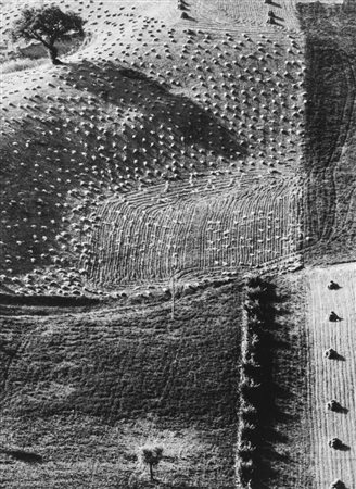 Mario Giacomelli (1925-2000)  - Paesaggio, years 1970