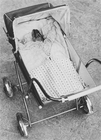 Joan Fontcuberta (1955)  - Sleep my love, 1974