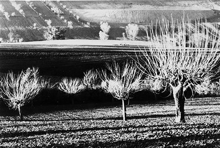 Mario Giacomelli (1925-2000)  - Paesaggio, 1980
