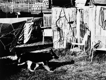 Mario Giacomelli (1925-2000)  - Senza titolo, years 1980