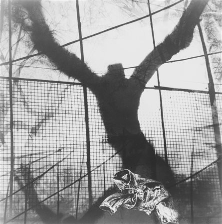 Mario Giacomelli (1925-2000)  - Campagna Levi's, 1991