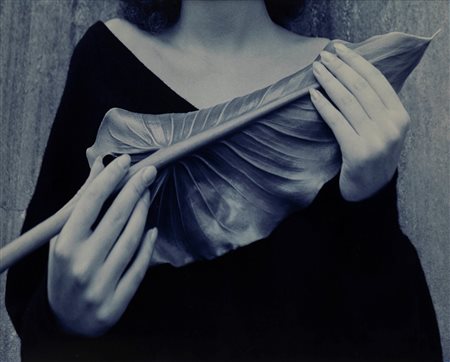 Isabella Gherardi (1962)  - La grande foglia blu, 1999