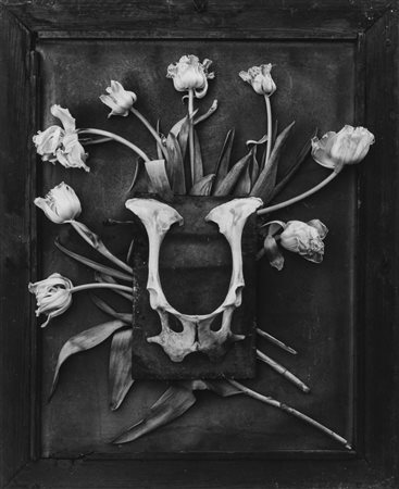 Radfing (XX sec.)  - Le Masque, 1990