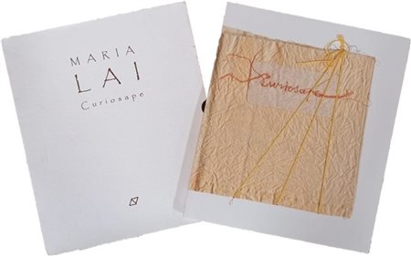 Maria Lai “Curiosape” 2002