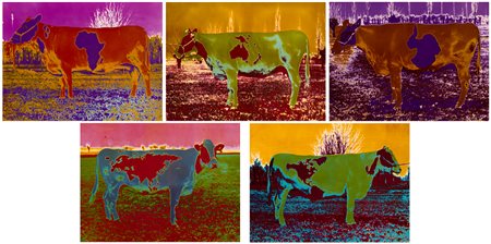 CLAUDIO PARMIGGIANI (1943) - Tavole zoogeografiche, 1973