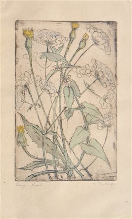 Maria Delago (St. Leonhard/1902 – Brixen/Bressanone 1979) Piante;Acquaforte...