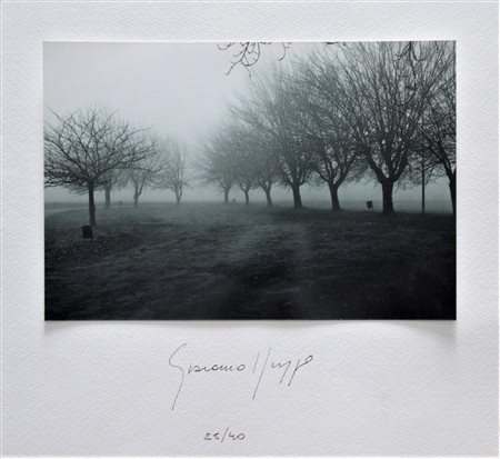 Giacomo Nuzzo SENZA TITOLO fotografia, cm 12x18 su foglio cm 20x22 firma es....
