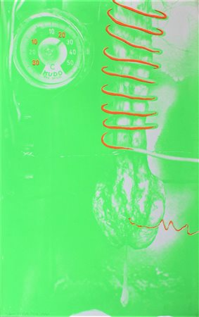 Tetsumi Kudo WORK serigrafia su carta, cm 90x56 firma es. 112/150 eseguita...