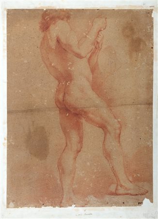 Scuola romana, secolo XVIII - Studio per nudo virile