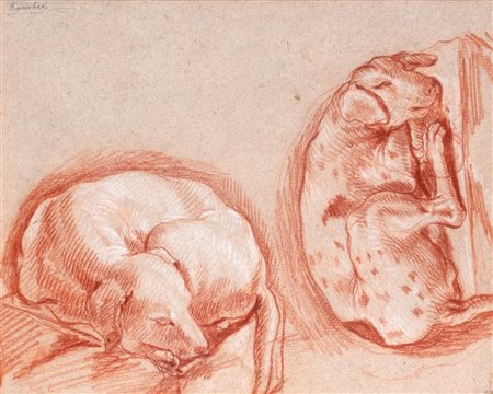 Scuola dell'Italia settentrionale, secolo XVII - Due studi di cani accovacciati