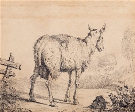 Scuola europea, 1823 - Capretta