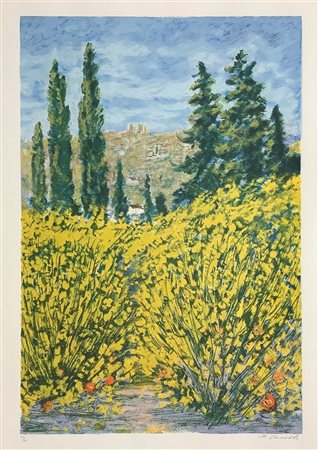 Litografia raffigurante ginestre, 58/200. Firmata in basso a destra M. Cascella. In cornice cm 91x69