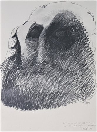 Togo SENZA TITOLO disegno a matita su carta, cm 50x35 firma e dedica eseguito...