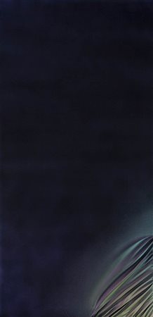 Jorrit Tornquist - Balenale - 1987 acrilico su tela cm. 160x80. Autentica...