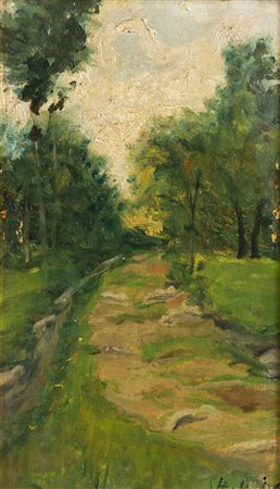 SCUOLA DI DELLEANI<BR>Stradina di campagna