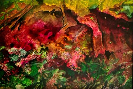 Carroll Robert - Forest floor roots