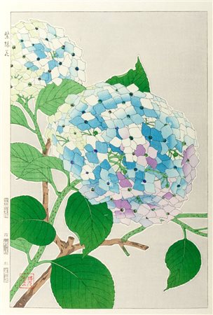 Tre stampe raffiguranti fiori: iris, ortensie, margherite rosa, Giappone periodo Meiji