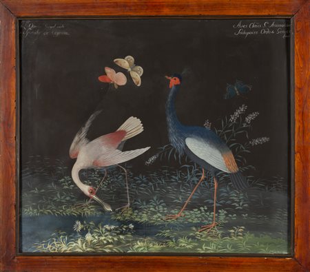 RAINERI CARLO ANTONIO