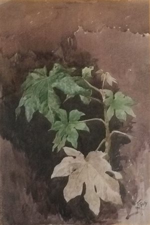 ANONIMO – Vaso di fiori