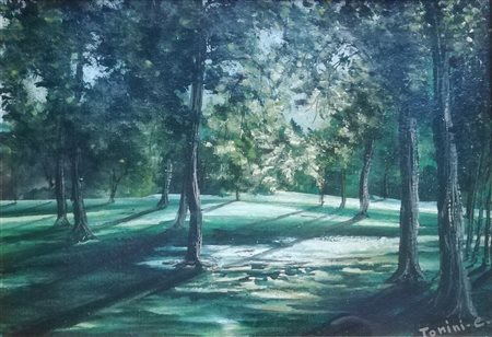 E. TONINI – Pineta