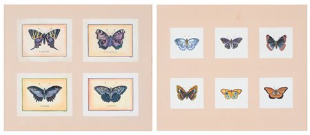 Coppia di quadri contenenti rispettivamente quattro incisioni di Pietro...