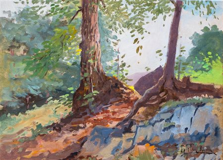 Filiberto Petiti Torino 1845-Roma 1924, Scorcio boschivo F2, olio su cartone...