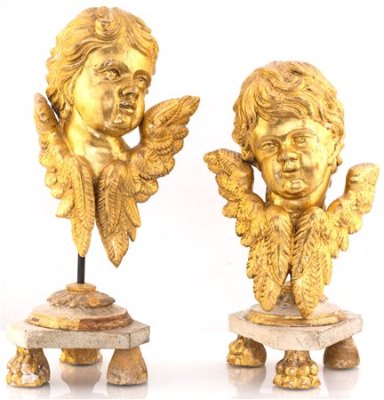 Coppia di teste di cherubino in legno scolpito e dorato F2, , altezza cm 43 e...