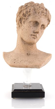 Testa virile classica in polvere di travertino F2, , altezza cm 28