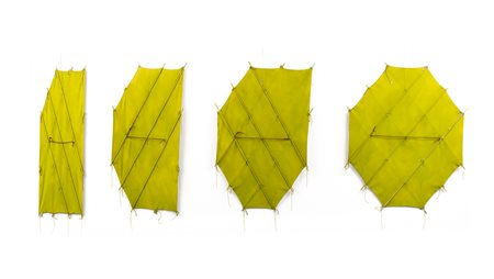 RICHARD SMITH
Four bites from the Apple, 1975