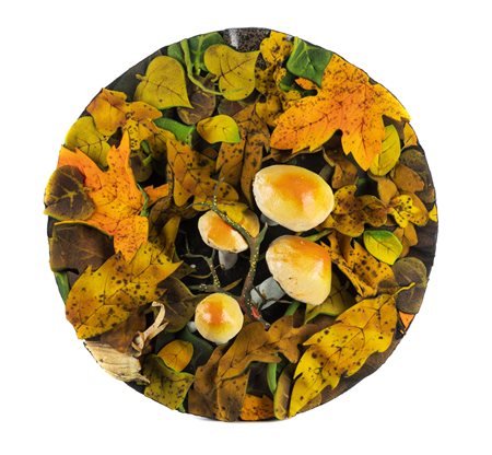 PIERO GILARDI
Sottobosco, 1990 