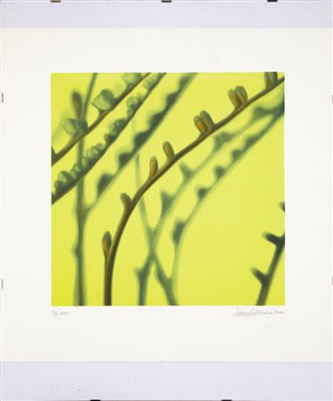 DANY VESCOVI (1969) - Senza Titolo, 2000