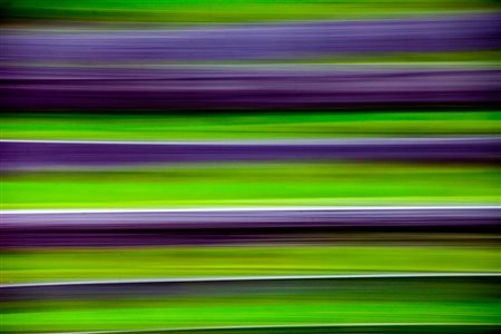 CHIARA DIDONE', Trasformazione #17