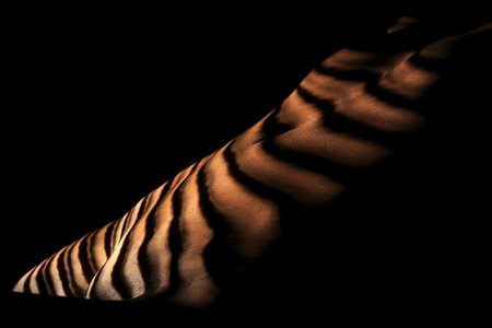 CARLO LANDUCCI, Sculture Viventi