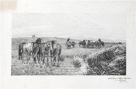 Luigi Gioli "Cavalli al pascolo" 
acquaforte (mm 240x450.5) 
Firmato e dedicato