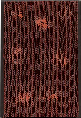 Bernard Aubertin, Alvéoles, 1990