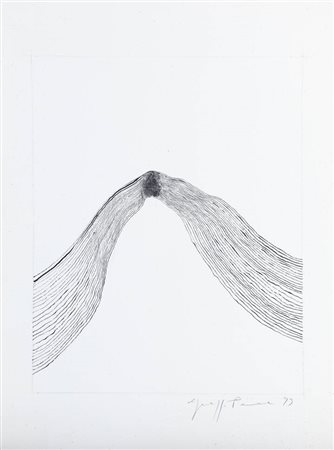 GIUSEPPE PENONE<BR>Garessio (CN) 1947<BR>"Il cuore della montagna" 1993