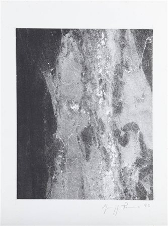 GIUSEPPE PENONE<BR>Garessio (CN) 1947<BR>"Struttura del tempo" 1993