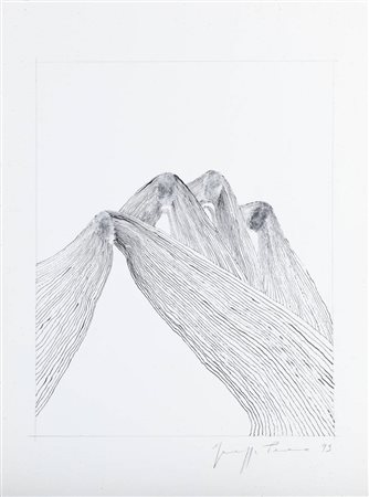 GIUSEPPE PENONE<BR>Garessio (CN) 1947<BR>"Il cuore della montagna" 1993