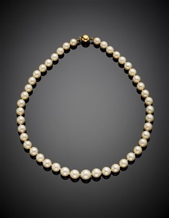 Collana a scalare in perle coltivate da mm 8,10 a mm 10,50 circa con chiusura i