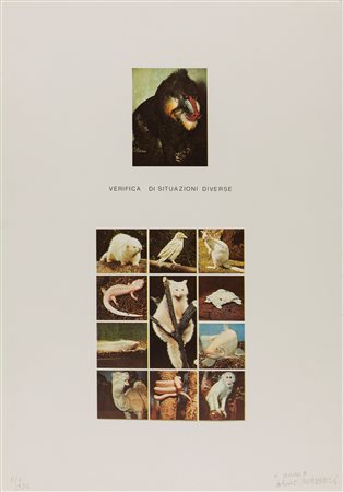 Eliseo Mattiacci (Cagli 1940)  - Verifica di situazioni diverse, 1974