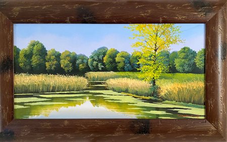 TONINO CIMINO
Senza titolo