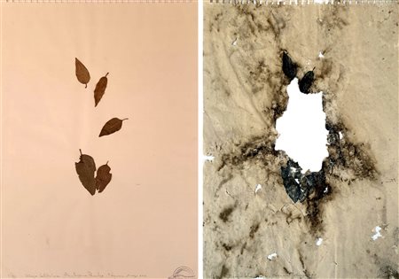 RICARDO CALERO, Memoria del natural, Quercia-Beuys (dittico), 2015/2016