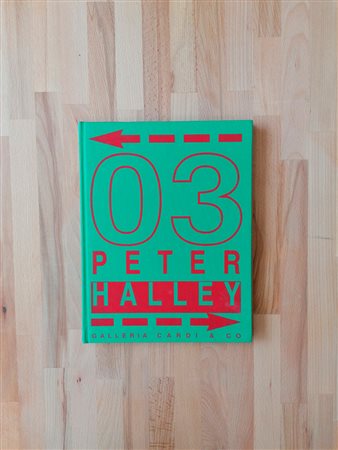 PETER HALLEY - Peter Halley, 2003