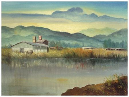 BRUNO MANFREDI 1935 – 2012 Padule vicino a Massarosa Olio su tela 60 x 80....