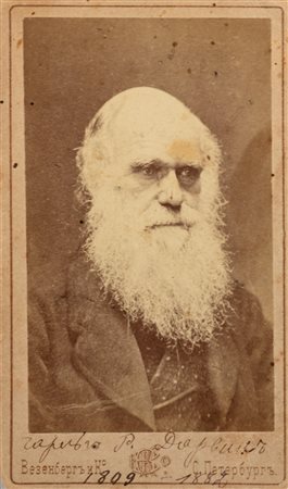 Darwin, Charles - Foto